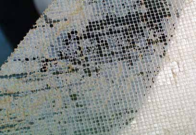 哪些操作參數的改變表示陶氏RO膜已被微生物污染？
